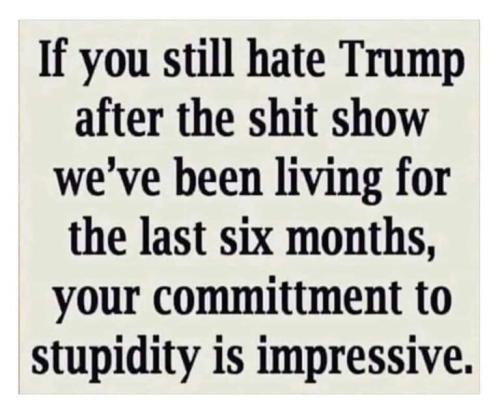 57CE80D4-F614-4519-9CF8-166F9E72FEDE