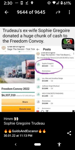Trudeau ex wife donated huge amount to truckersforfreedom