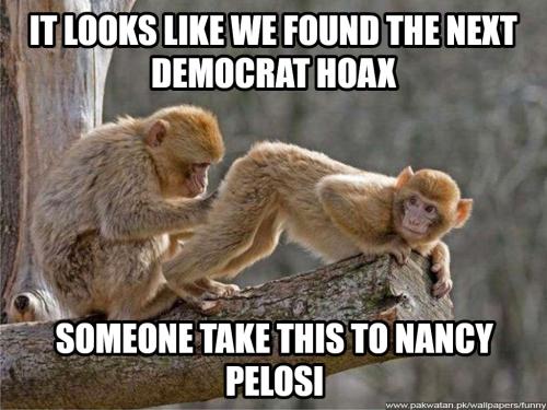 democrat hoax