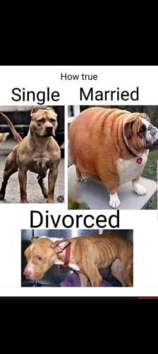 Screenshot_20211229-024148_Gmail