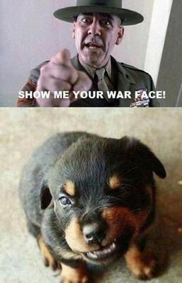 warface