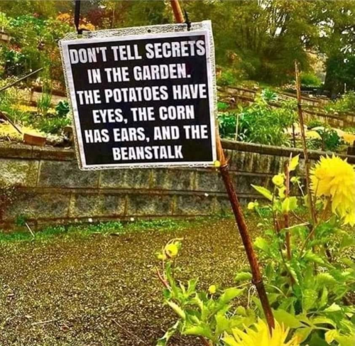 Don't tell secrets in the garden