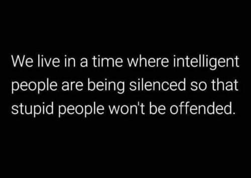 IntelligentPeopleSilencedStupidPeopleOffended