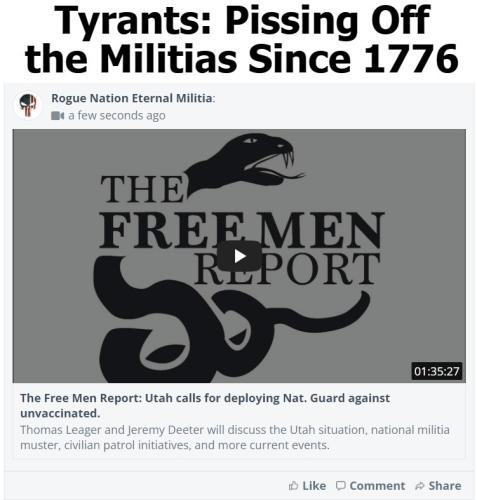 Tyrants Pissing off the Militias since 1776