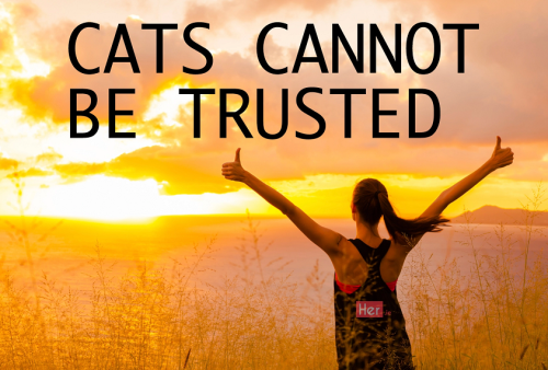 Cats Cannot Be Trusted
