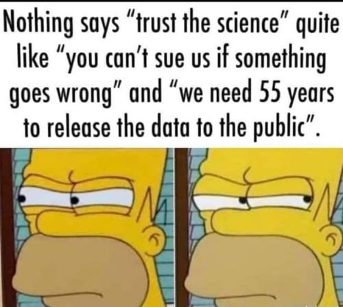 photo_2022-01-04_12-53-44