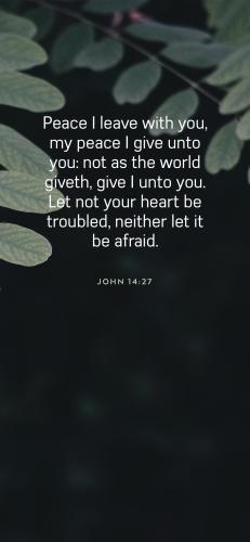 5B3B8FA3-B074-41F6-AD3E-36A7A82EC97A