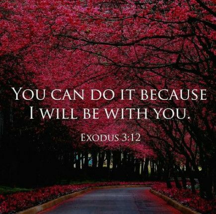 2e1c197a-0036-48f4-afb6-307622c73650