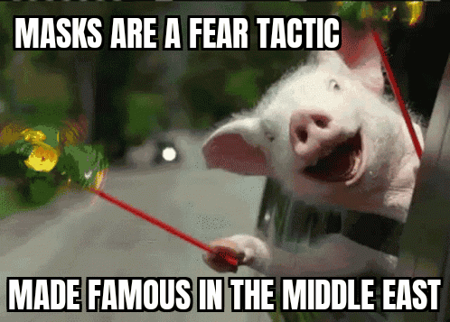 GifMeme 20012022034624