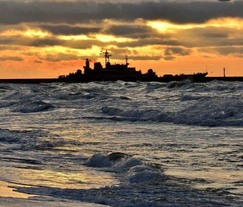 photo_2022-01-15_12-30-41