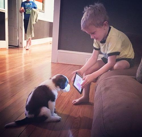 Puppy Training