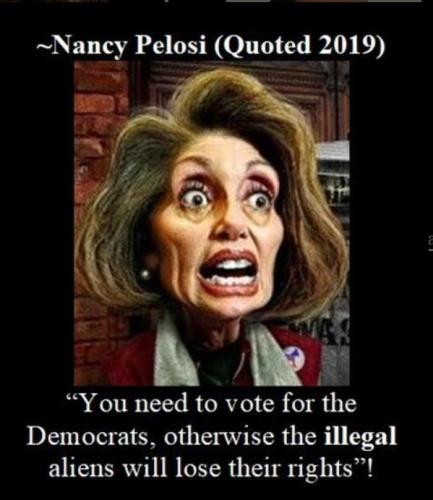 bidennancyalienrigtslol