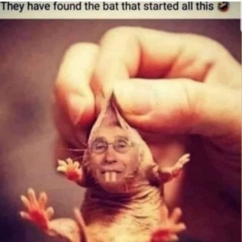 1643414549259_hub_od_