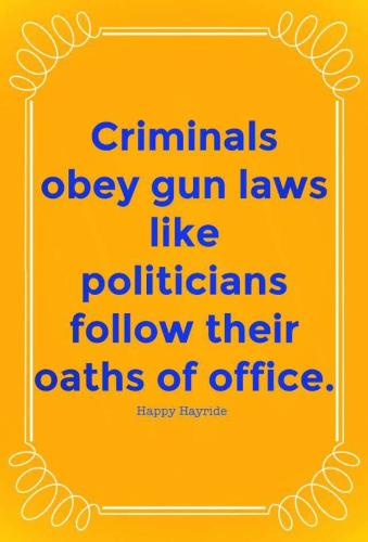 GunControl199