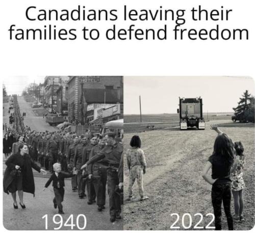 Canadian trucker replaced army to defend Canadian Freedom