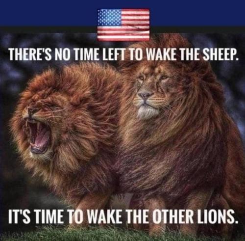 ee7503d3-f9e3-4147-a7e3-dd896eacd767d