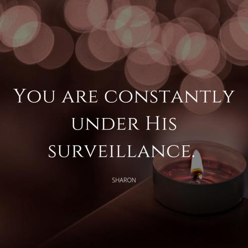 F8FECE69-D2F6-45D6-BB11-AB86CBE5306F