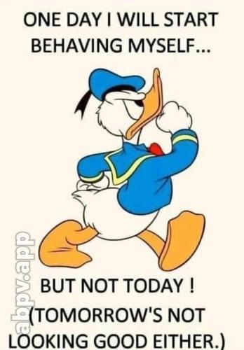 1D2AC96C-39EA-4F09-86BE-D4D98FA2FF52