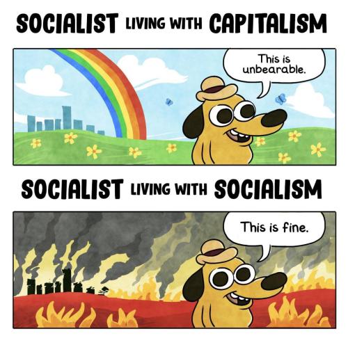 Socialism