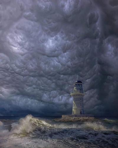 1CC6A990-1E97-43A7-94F0-CE0F7DF3539A