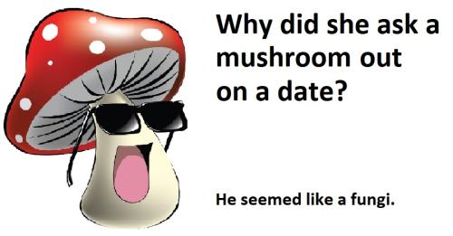 20220114 mushroom fungi