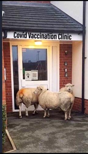 Covid Vaccination Clinic