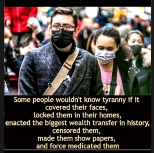 Screenshot_20220128-233419