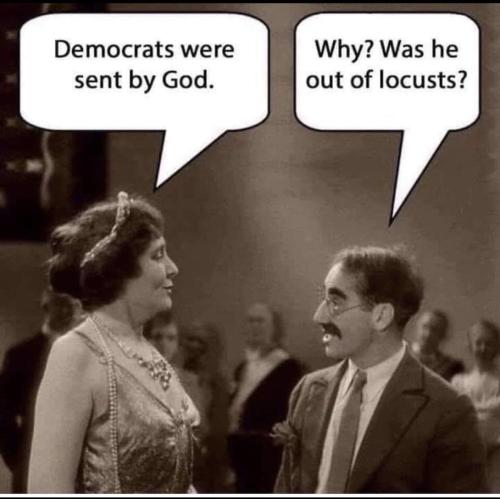 e2984056-c056-48b0-90bc-ee0d5fd27fcdd