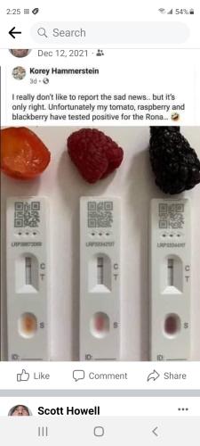 Screenshot_20220129-142556_Facebook