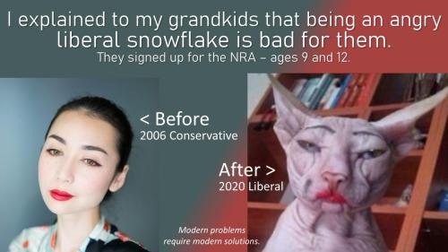0000lib snowflake
