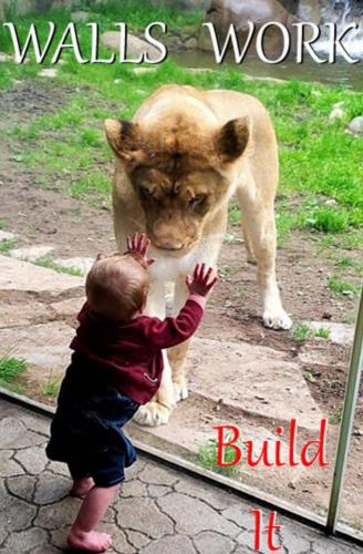 Tumblr_l_41409531328316