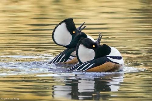 EE0F85FC-EDA0-4EB0-BC3A-ABA5212CA11C