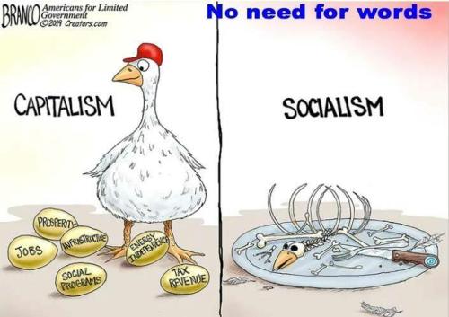 488a6fa9-c862-46cb-9d64-1cf971d8e5c2d