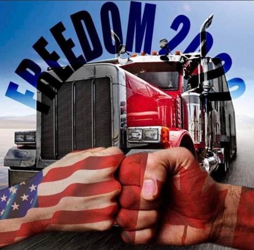 image_1643296558.781