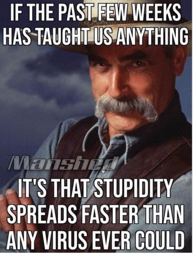 100737626_10158589517440452_1320785495302602752_n (1)