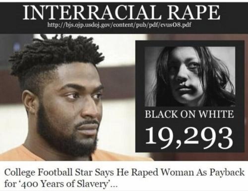 b73379bd4adbd3dd68f3209e61912914_500x0