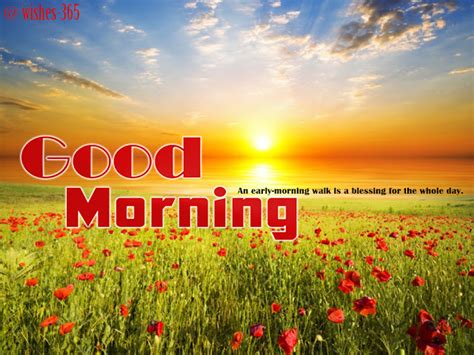 0F657194-C7B2-4F99-988A-B5D485BE3C9D