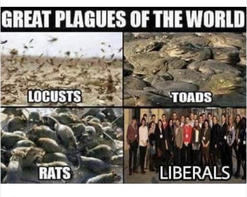 D5F95B3D-9E8A-4E83-A852-CD1FEE43A925