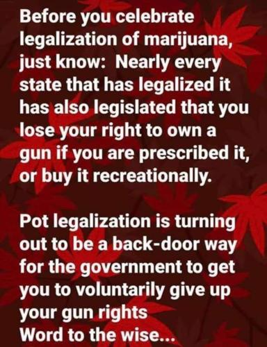 pot and guns 2