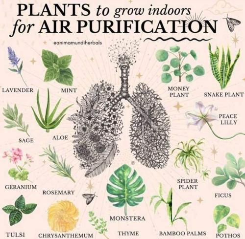 FB_IMG_1643482178248