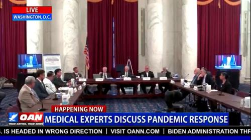 Medical Experts Discuss Pandemic Response 3
