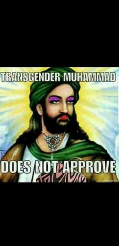 Screenshot_20220105-145050_Gallery