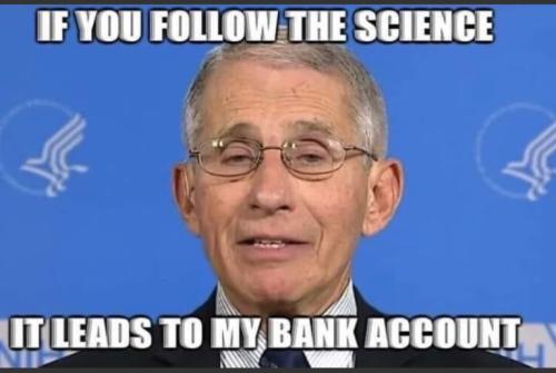 e482b7fc6ccda775c38c34a905a40977_500x0