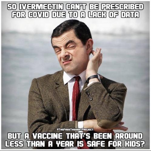 156dc54d156deea93ee6cbfed24e55b3_1024