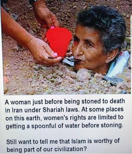 d37e1e6cc599fb5388c0a74ddcc5823c_500x0