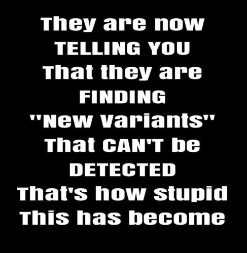 Screenshot_20220129-055418_DuckDuckGo