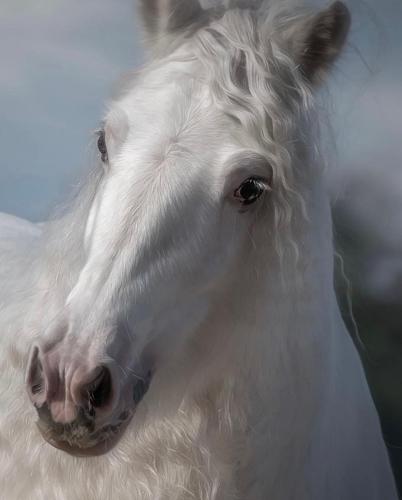 A2AA0EB1-EAF6-47B3-9B10-588963055A72