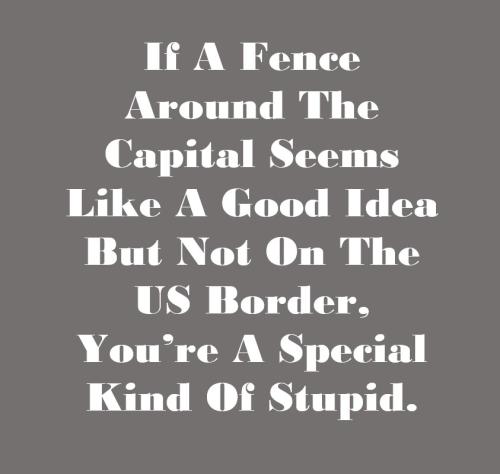 stupid