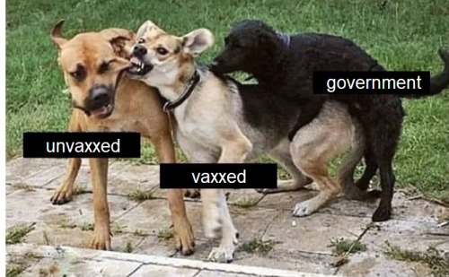 Unvaxxed