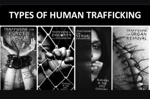 66317B04-D6DF-441B-82CE-431626EE5804